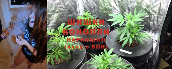 mdpv Белокуриха